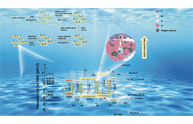 Defect-polaron-electric field synergy in a quinary S-scheme heterojunction for ciprofloxacin degradation 2026.101014